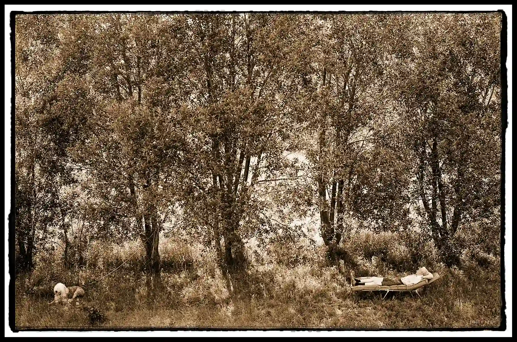 Père ( sieste rangée de Saule   St Ambroise )( juin 1975 )